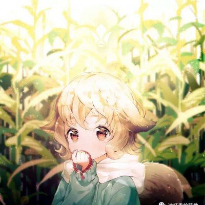 电诈园区开超市被拘